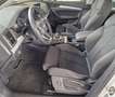 Audi Q5 2.0 TDI 190 CV quattro S tronic Business Sport Weiß - thumbnail 12