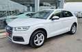 Audi Q5 2.0 TDI 190 CV quattro S tronic Business Sport Weiß - thumbnail 4