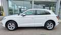 Audi Q5 2.0 TDI 190 CV quattro S tronic Business Sport Weiß - thumbnail 5