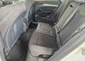 Audi Q5 2.0 TDI 190 CV quattro S tronic Business Sport Weiß - thumbnail 14