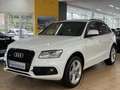 Audi Q5 3.0 TDI S-LiNE PLuS *XENON PLUS*NAVi*KAMERA* Weiß - thumbnail 1