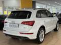 Audi Q5 3.0 TDI S-LiNE PLuS *XENON PLUS*NAVi*KAMERA* Weiß - thumbnail 3