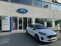 Ford Fiesta Fiesta VII 2022 5p 5p 1.0 ecoboost Titanium 125cv Bianco - thumbnail 5