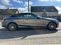 Mercedes-Benz C 180 Cabriolet C 180 Gris - thumbnail 9