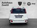 Fiat Panda /Pandina Cross Look Hybrid 70 Weiß - thumbnail 5