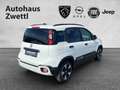 Fiat Panda /Pandina Cross Look Hybrid 70 Weiß - thumbnail 6