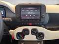 Fiat Panda /Pandina Cross Look Hybrid 70 Weiß - thumbnail 15