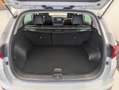 Kia Sportage 1.7 CRDI 115ch ACTIVE 4X2 BVM6 Blanc - thumbnail 12