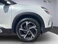 Citroen C5 Aircross BlueHDI 130 S&S Shine EAT8 Aut. Weiß - thumbnail 20