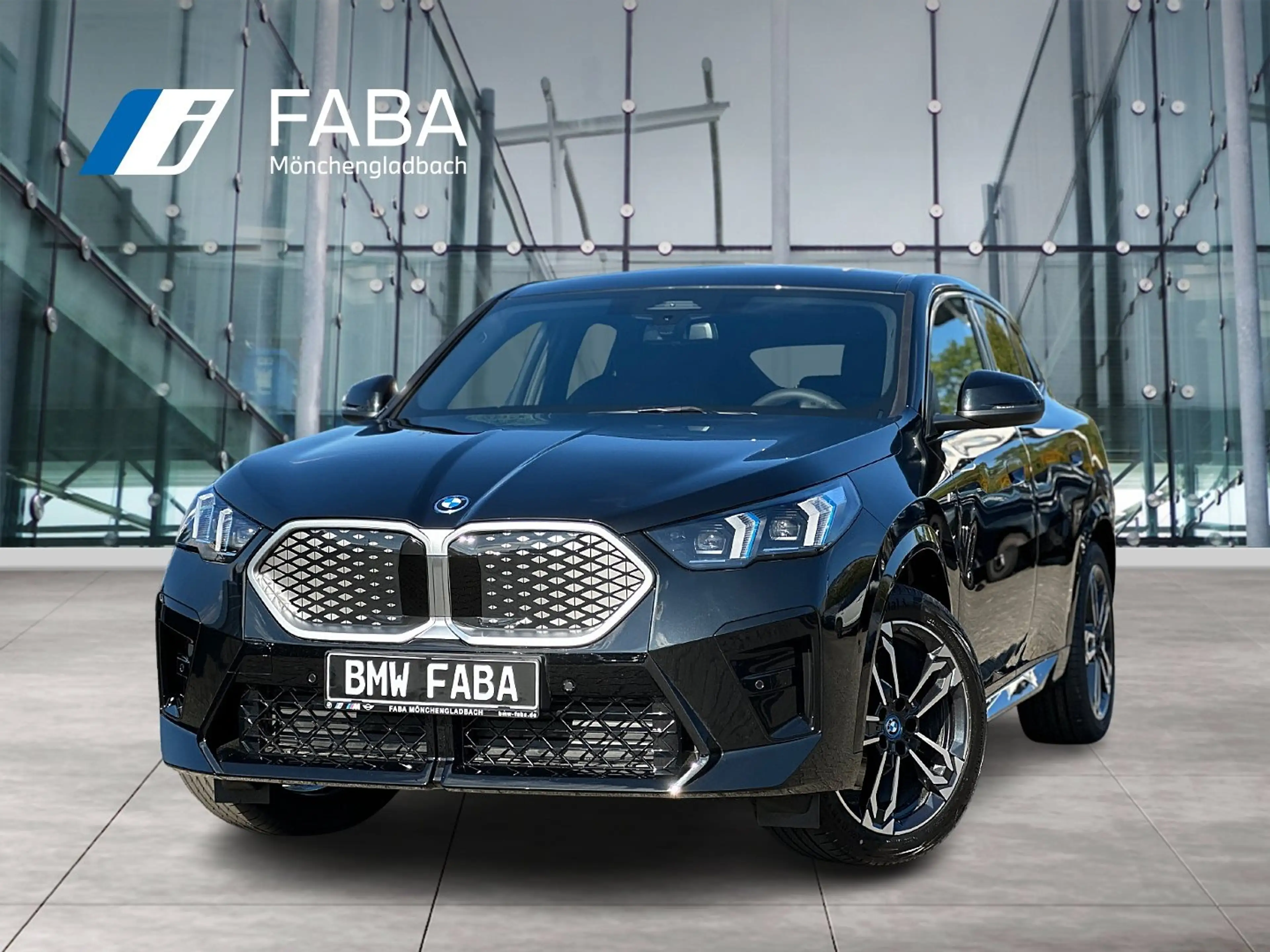 BMW iX2 eDrive20 M Sportpaket HK HiFi DAB LED RFK