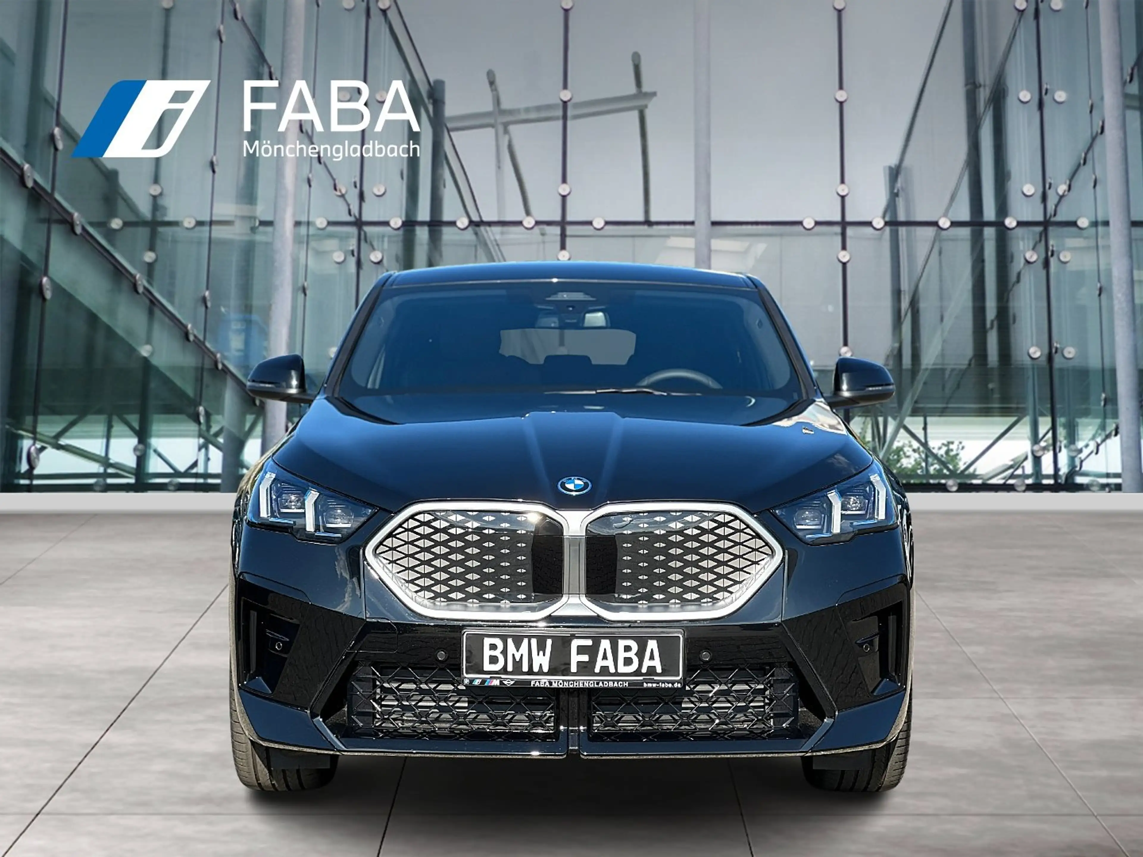 BMW iX2 eDrive20 M Sportpaket HK HiFi DAB LED RFK — photo 4