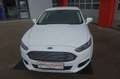 Ford Mondeo Trend 2,0 TDCi Aut. Weiß - thumbnail 2