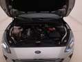Ford Focus SW Hybrid Business 1.0 Mild Hybrid 125CV Argento - thumbnail 13