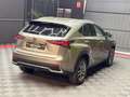 Lexus NX 300 300h Business Navigation 2WD Gris - thumbnail 7