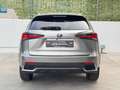 Lexus NX 300 300h Business Navigation 2WD Gris - thumbnail 9