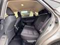 Lexus NX 300 300h Business Navigation 2WD Gris - thumbnail 15