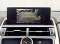 Lexus NX 300 300h Business Navigation 2WD Gris - thumbnail 29