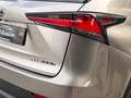 Lexus NX 300 300h Business Navigation 2WD Gris - thumbnail 25