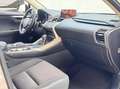 Lexus NX 300 300h Business Navigation 2WD Gris - thumbnail 20