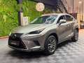 Lexus NX 300 300h Business Navigation 2WD Gris - thumbnail 5