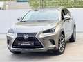 Lexus NX 300 300h Business Navigation 2WD Gris - thumbnail 35