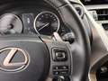 Lexus NX 300 300h Business Navigation 2WD Gris - thumbnail 27