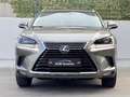 Lexus NX 300 300h Business Navigation 2WD Gris - thumbnail 37