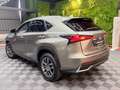 Lexus NX 300 300h Business Navigation 2WD Gris - thumbnail 4