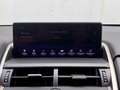 Lexus NX 300 300h Business Navigation 2WD Gris - thumbnail 31