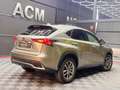 Lexus NX 300 300h Business Navigation 2WD Gris - thumbnail 3