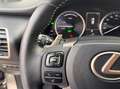 Lexus NX 300 300h Business Navigation 2WD Gris - thumbnail 26