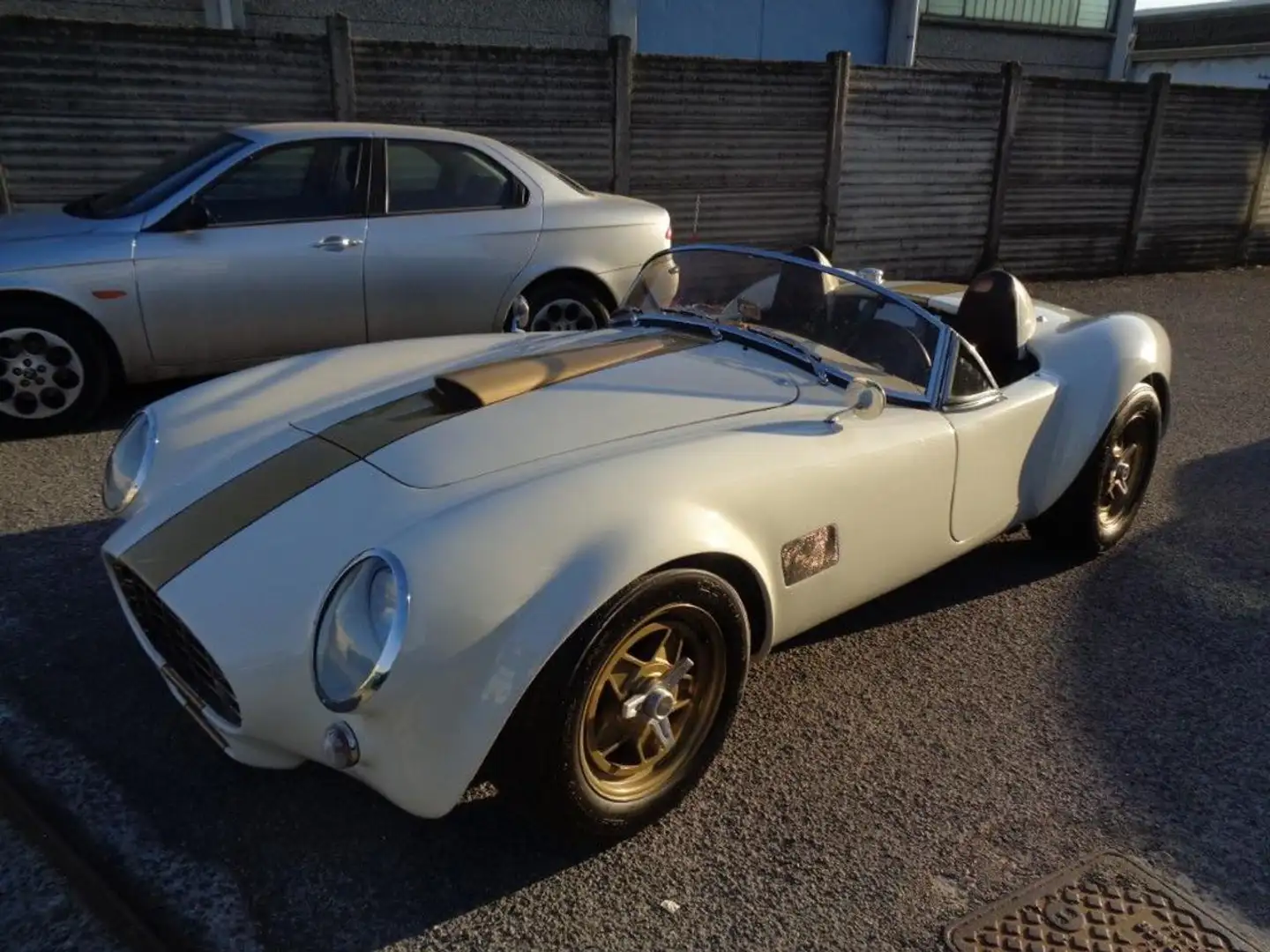 AC Cobra Gardner Douglas GD-350 Beige - 2