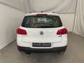 Volkswagen Tiguan Trend & Fun BMT 2. Hd SHZ Navi APS Weiß - thumbnail 8