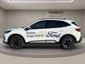 Ford Kuga 2.5 full hybrid Active 2wd 180cv auto Blanc - thumbnail 7