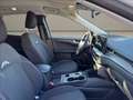 Ford Kuga 2.5 full hybrid Active 2wd 180cv auto Blanc - thumbnail 11