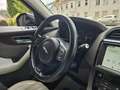 Jaguar F-Pace Pure,Pano,Klima,Navi,LED,TUV Negro - thumbnail 16