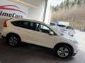 Honda CR-V 1,6i-DTEC Lifestyle 4WD Aut./KAMERA/AHK/LEDER/V... Weiß - thumbnail 5