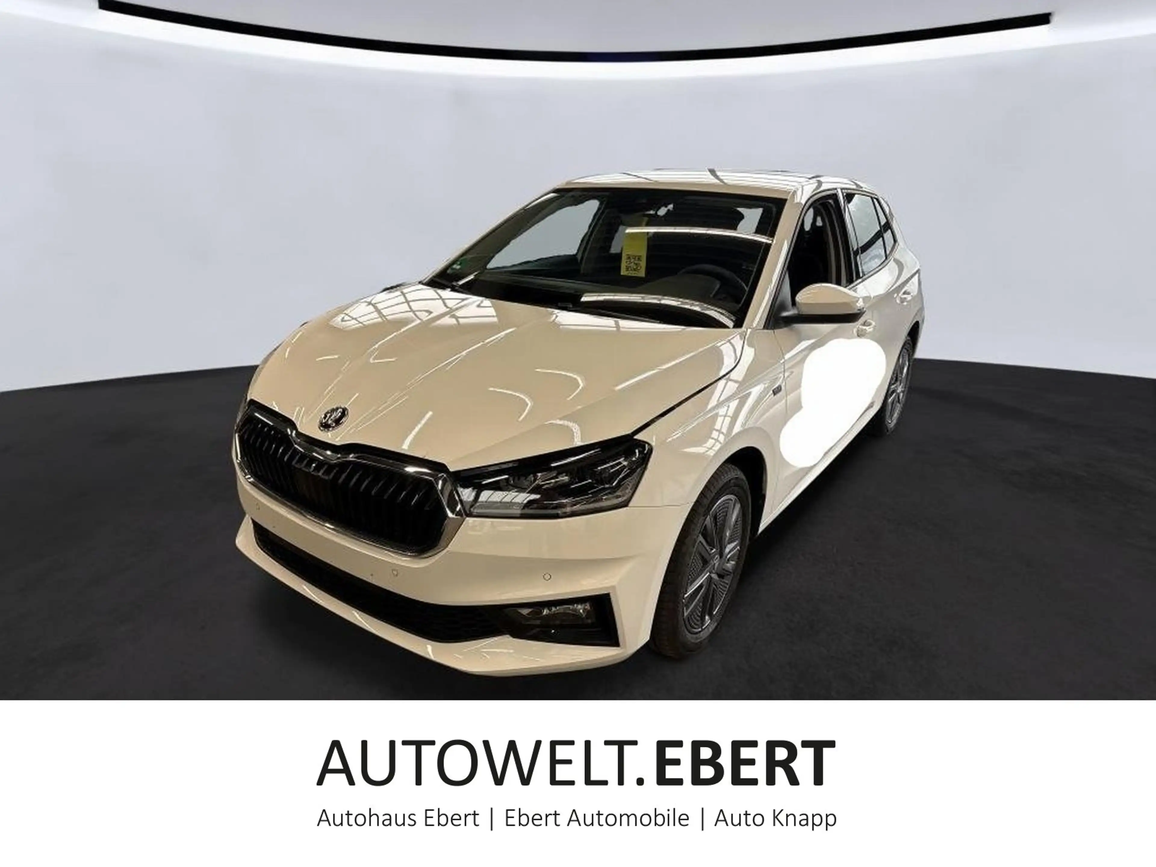 Skoda Fabia 1.0 TSI Tour DSG/KAMERA/LED/ACC/SHZ/