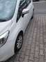 Nissan Note Note II 2014 1.5 dci Acenta Bianco - thumbnail 3