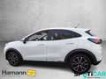 Ford Puma Titanium 1,0 ltr 125PS Automatic Winterpaket Rückf Weiß - thumbnail 8