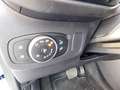 Ford Puma Titanium 1,0 ltr 125PS Automatic Winterpaket Rückf Weiß - thumbnail 15