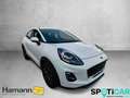 Ford Puma Titanium 1,0 ltr 125PS Automatic Winterpaket Rückf Weiß - thumbnail 3