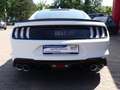 Ford Mustang Mach 1 V8 Sportsitze*Ford-Garantie White - thumbnail 6