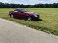 Mercedes-Benz SLK 230 K. Rojo - thumbnail 16