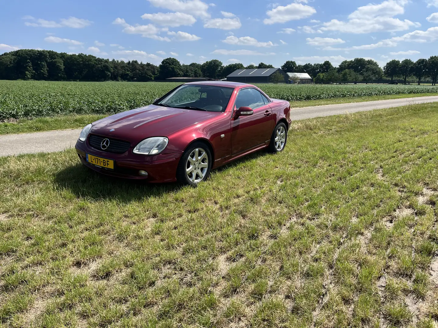 Mercedes-Benz SLK 230 K. Червоний - 1