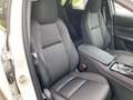 Mazda CX-30 Exclusive-line DASO DESI 186 Metallic - thumbnail 20