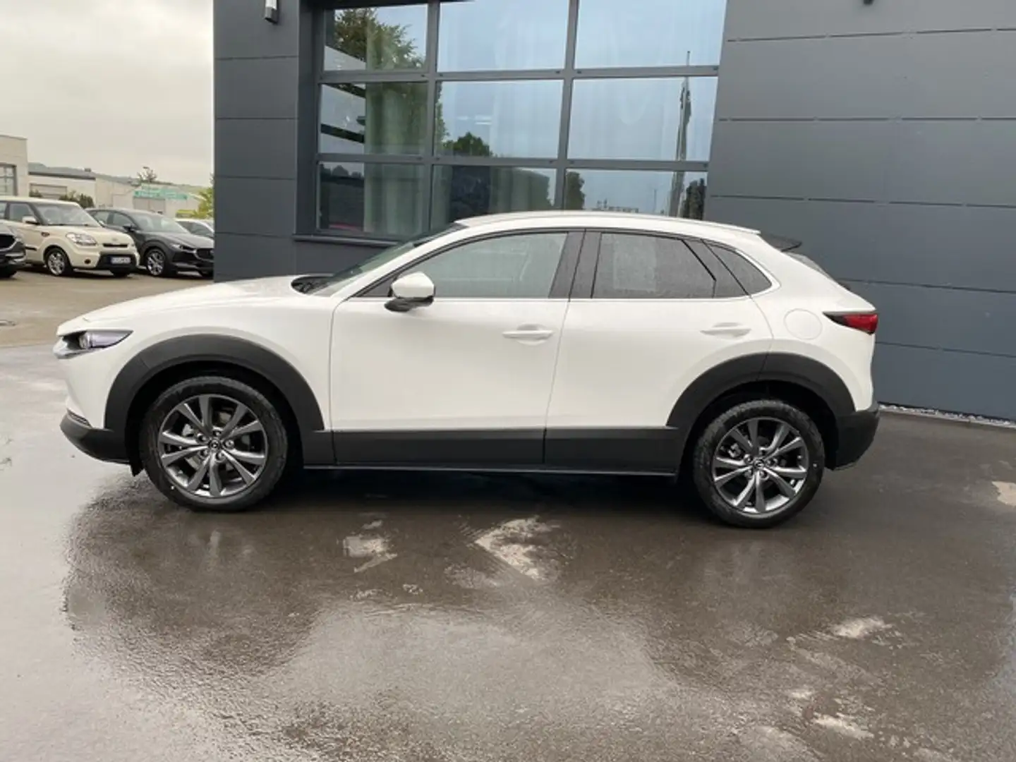 Mazda CX-30 Exclusive-line DASO DESI 186 Metallic - 2