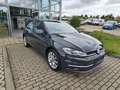 Volkswagen Golf VII 1.6 TDI Comfortline +LED+NAVI+ACC+DAB+ KLIMA Grau - thumbnail 6
