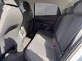 Volkswagen ID. Polo VW ID. Polo Life Edition 155 kW - 52 kWh Silber - thumbnail 13