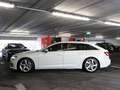 Audi A6 50 TFSI e quattro S line Pano 360° LED Weiß - thumbnail 3